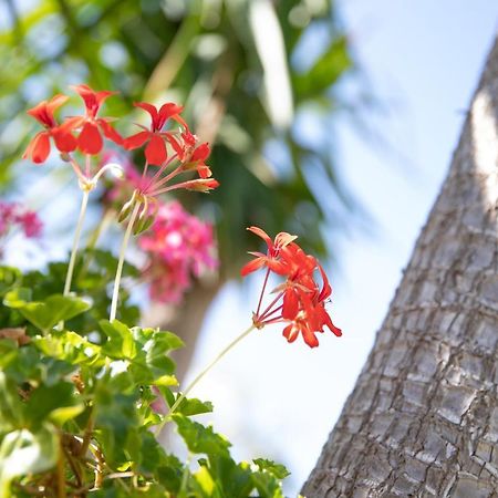 فيلا La Lantana مارينا دي راغوزا المظهر الخارجي الصورة