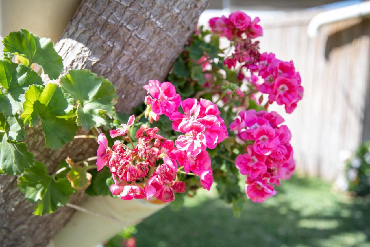 فيلا La Lantana مارينا دي راغوزا المظهر الخارجي الصورة